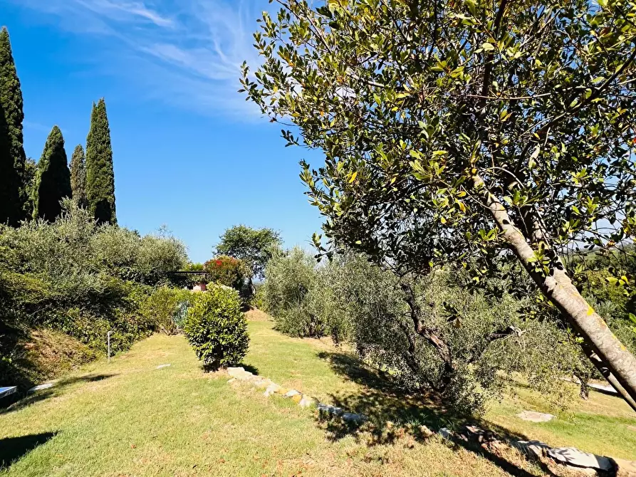 Immagine 35 di Villa in vendita  a Castagneto Carducci