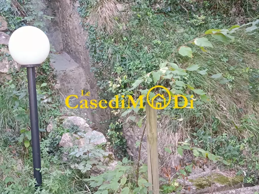 Immagine 5 di Terreno agricolo in vendita  a Livorno