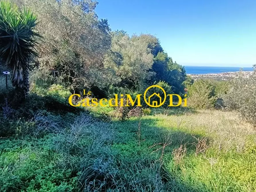 Immagine 4 di Terreno agricolo in vendita  a Livorno