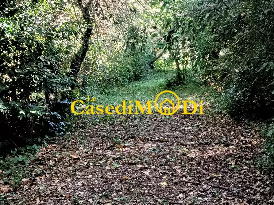 Immagine 6 di Terreno agricolo in vendita  a Livorno