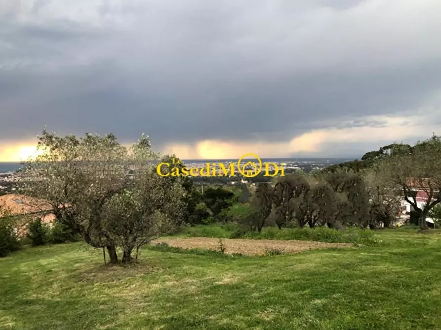 Immagine 2 di Terreno agricolo in vendita  a Livorno