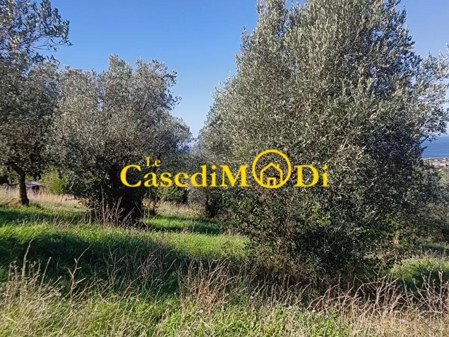 Immagine 3 di Terreno agricolo in vendita  a Livorno
