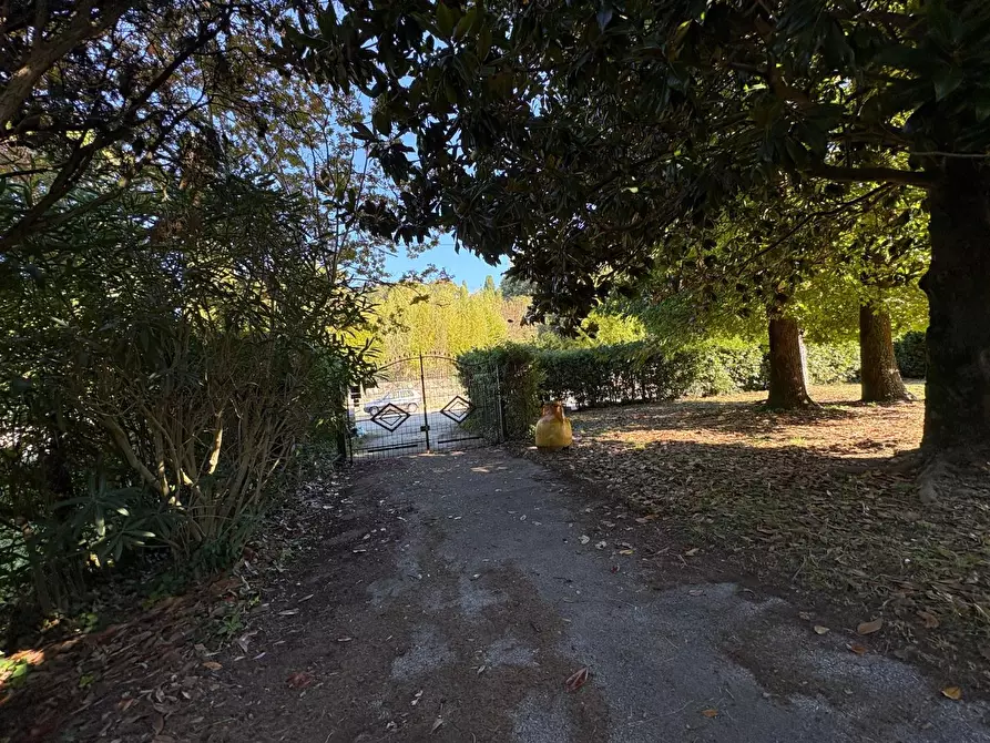 Immagine 3 di Villa in vendita  a Lucca