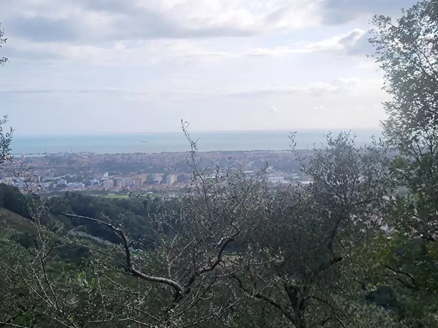 Immagine 4 di Rustico / casale in vendita  a Carrara