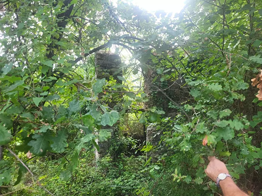 Immagine 19 di Rustico / casale in vendita  a Carrara