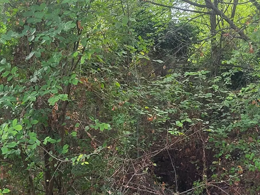 Immagine 23 di Rustico / casale in vendita  a Carrara