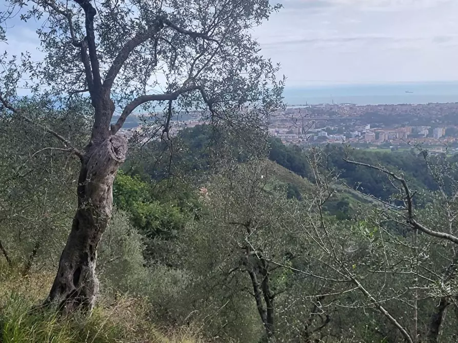Immagine 22 di Rustico / casale in vendita  a Carrara