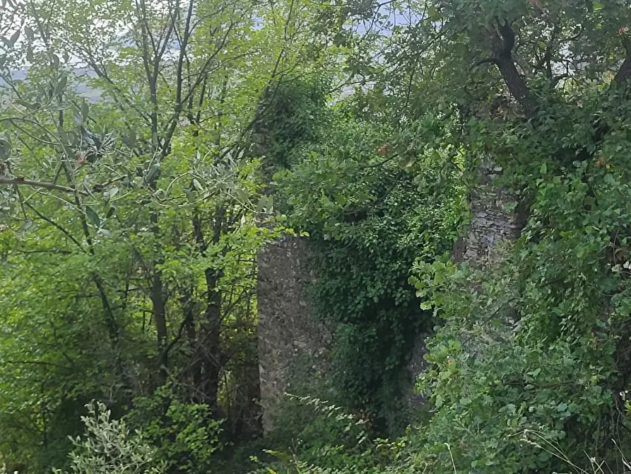 Immagine 11 di Rustico / casale in vendita  a Carrara