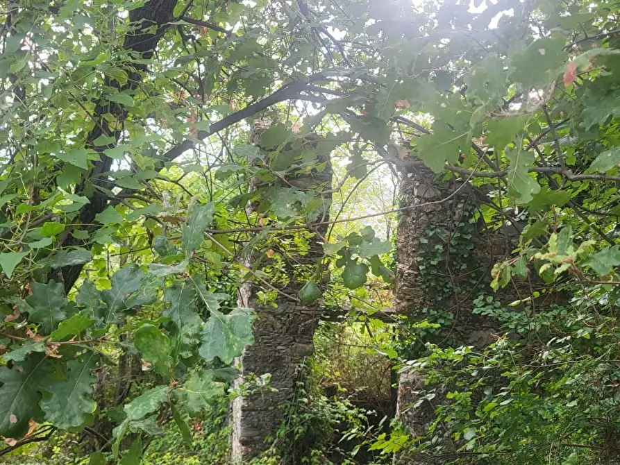 Immagine 3 di Rustico / casale in vendita  a Carrara