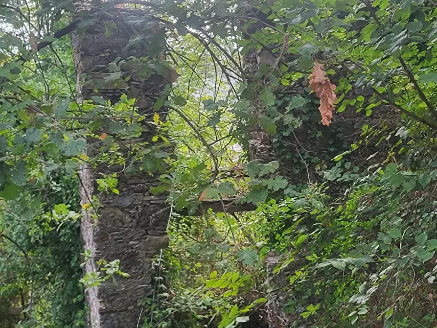 Immagine 2 di Rustico / casale in vendita  a Carrara