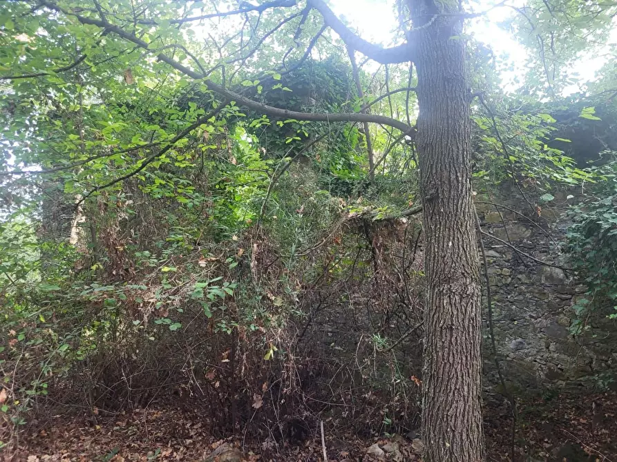 Immagine 26 di Rustico / casale in vendita  a Carrara