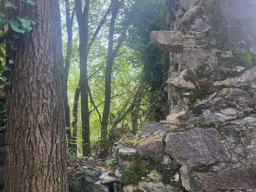 Immagine 14 di Rustico / casale in vendita  a Carrara