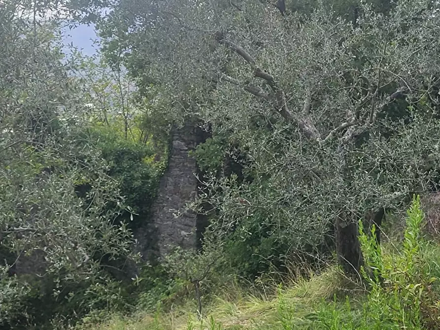 Immagine 9 di Rustico / casale in vendita  a Carrara