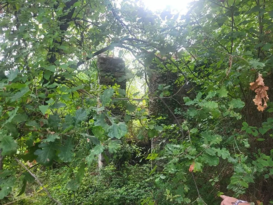 Immagine 1 di Rustico / casale in vendita  a Carrara