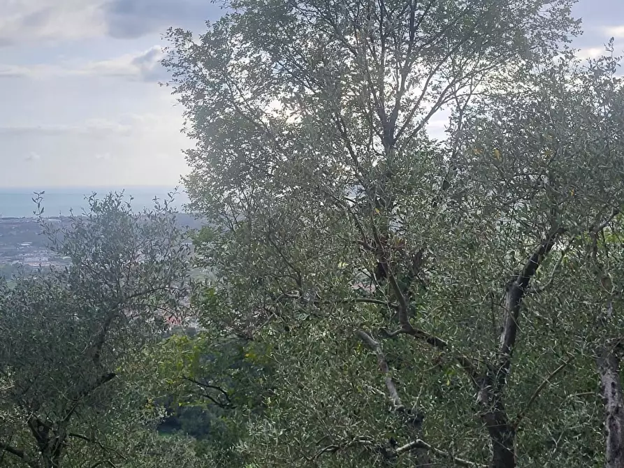 Immagine 24 di Rustico / casale in vendita  a Carrara