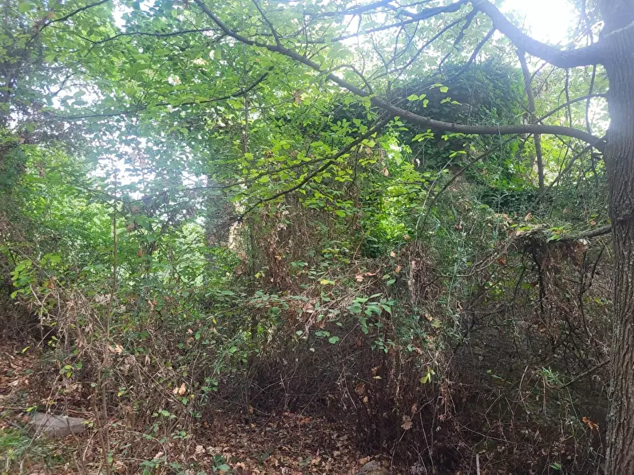 Immagine 16 di Rustico / casale in vendita  a Carrara