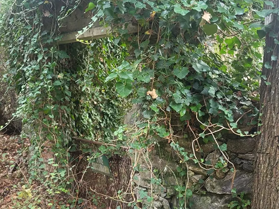 Immagine 5 di Rustico / casale in vendita  a Carrara