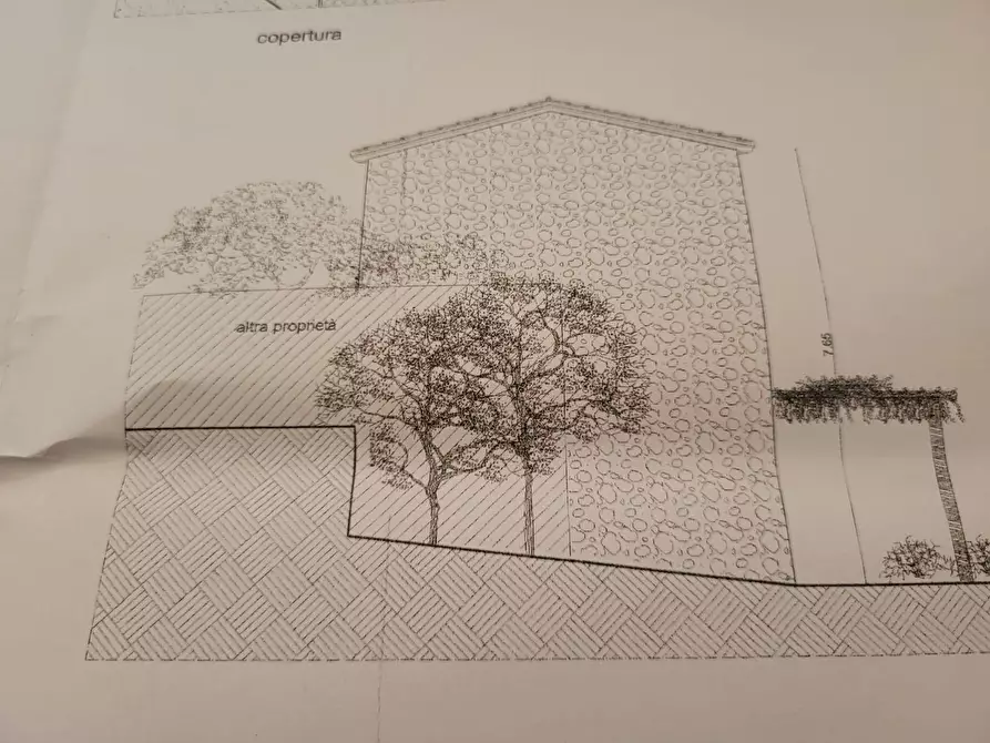 Immagine 10 di Rustico / casale in vendita  a Carrara