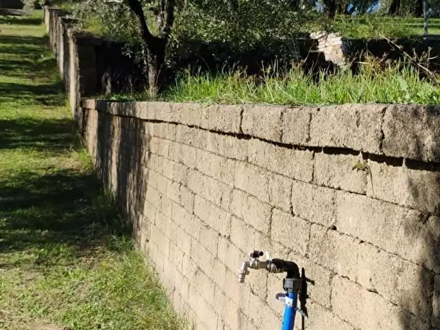 Immagine 6 di Terreno residenziale in vendita  a Crespina Lorenzana