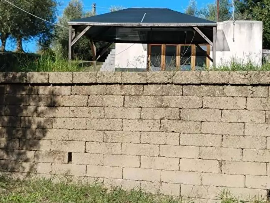 Immagine 4 di Terreno residenziale in vendita  a Crespina Lorenzana