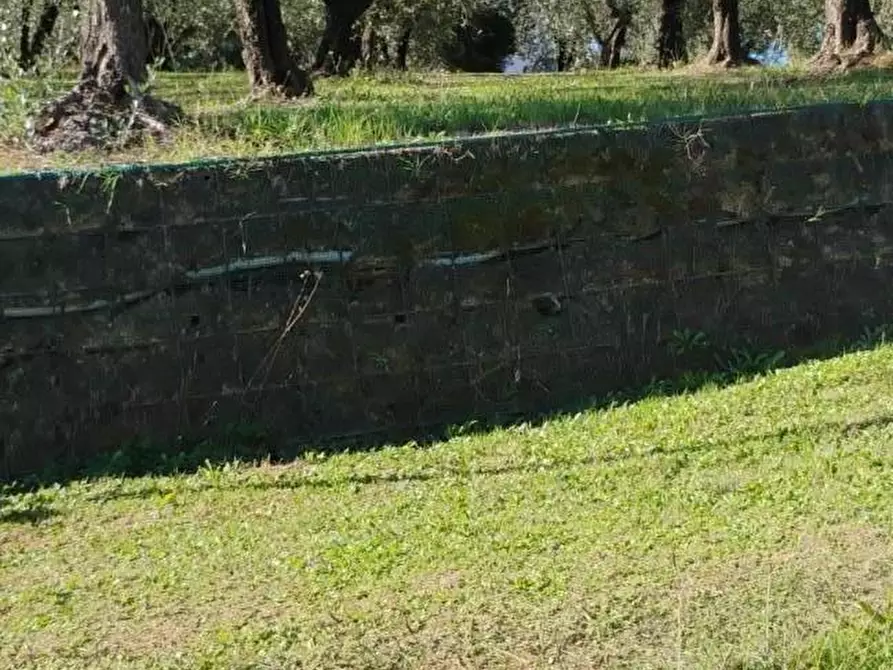 Immagine 7 di Terreno residenziale in vendita  a Crespina Lorenzana