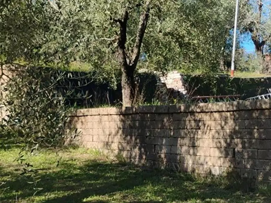 Immagine 5 di Terreno residenziale in vendita  a Crespina Lorenzana