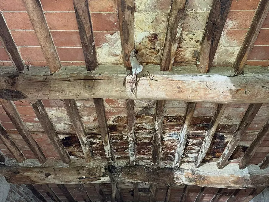 Immagine 4 di Deposito in vendita  a Capannori