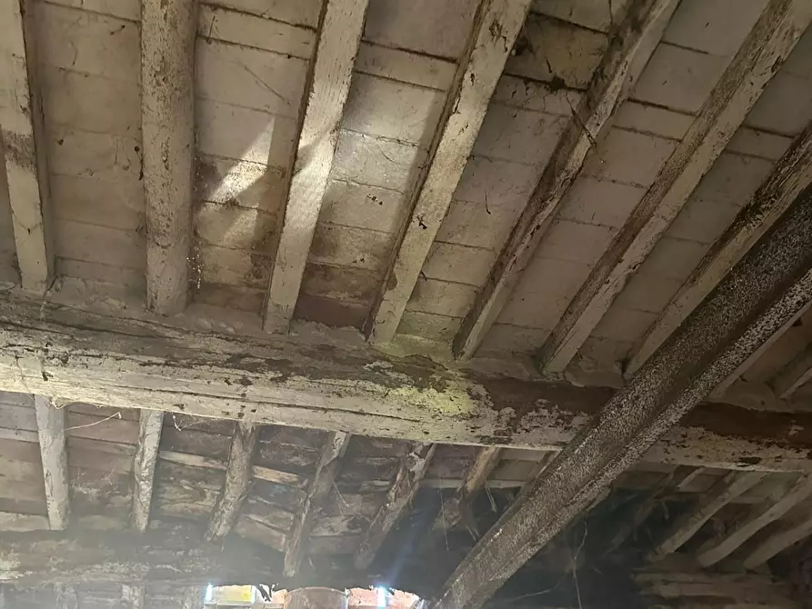 Immagine 5 di Deposito in vendita  a Capannori