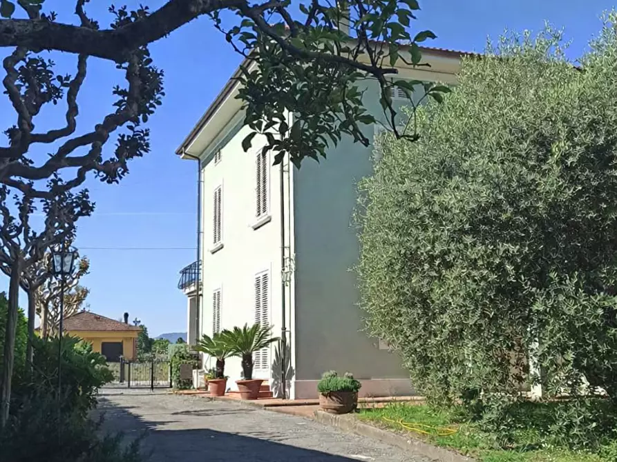 Immagine 3 di Villa in affitto  a Lucca