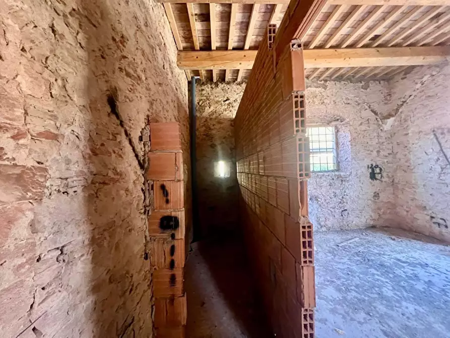 Immagine 6 di Terratetto in vendita  a Calci