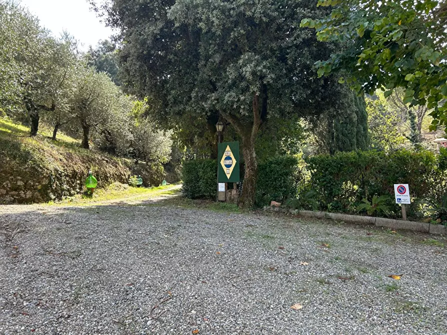 Immagine 62 di Casa colonica in vendita  a Carmignano