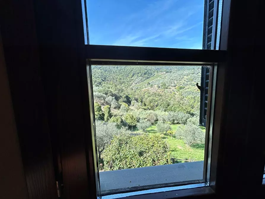 Immagine 9 di Casa colonica in vendita  a Carmignano