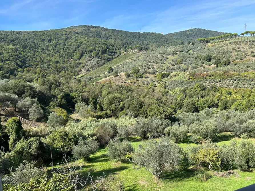 Immagine 14 di Casa colonica in vendita  a Carmignano