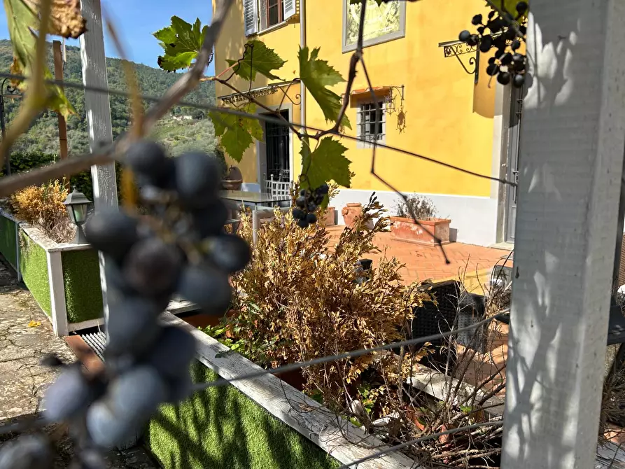 Immagine 61 di Casa colonica in vendita  a Carmignano