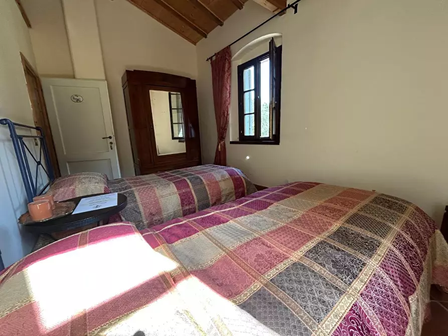 Immagine 3 di Casa colonica in vendita  a Carmignano