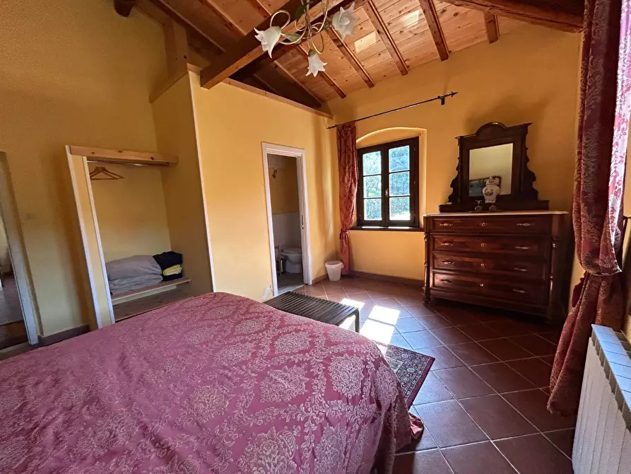 Immagine 8 di Casa colonica in vendita  a Carmignano
