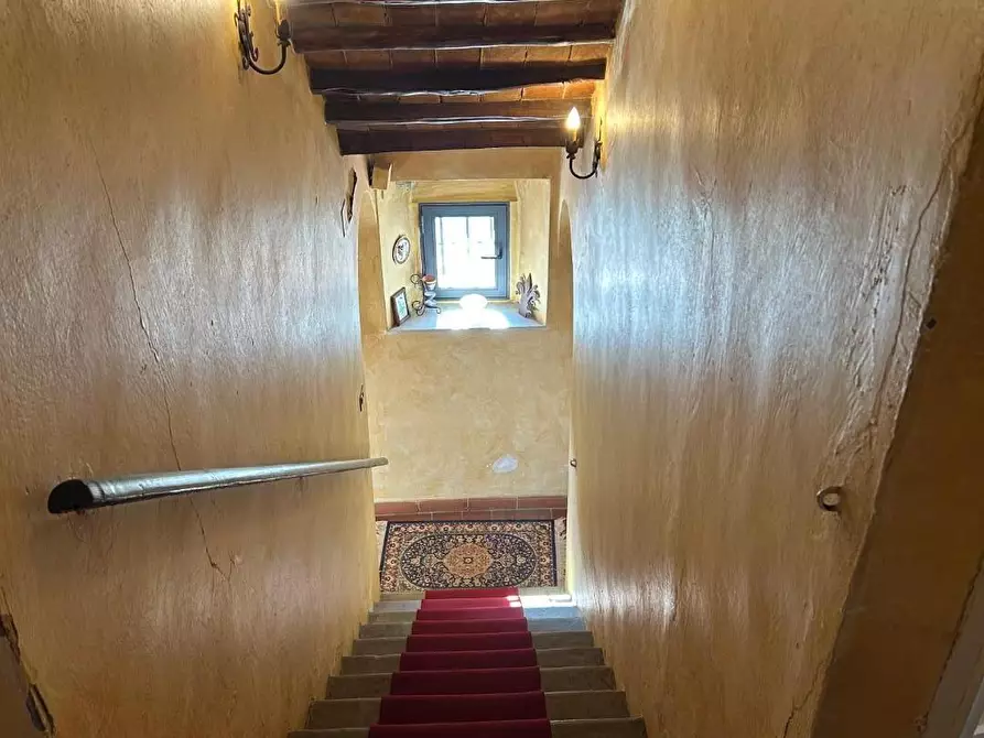 Immagine 15 di Casa colonica in vendita  a Carmignano