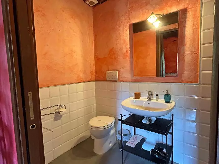 Immagine 24 di Casa colonica in vendita  a Carmignano