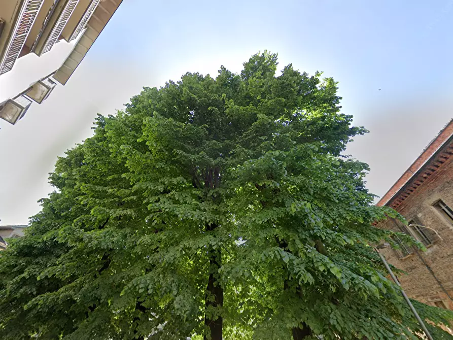 Immagine 6 di Appartamento in vendita  a Mortara