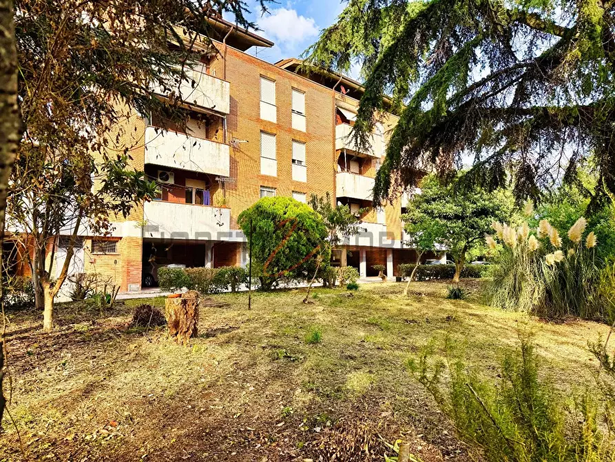 Immagine 21 di Appartamento in vendita  a Roccastrada