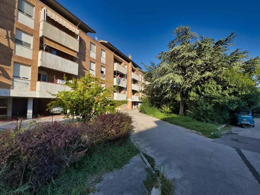 Immagine 2 di Appartamento in vendita  a Roccastrada