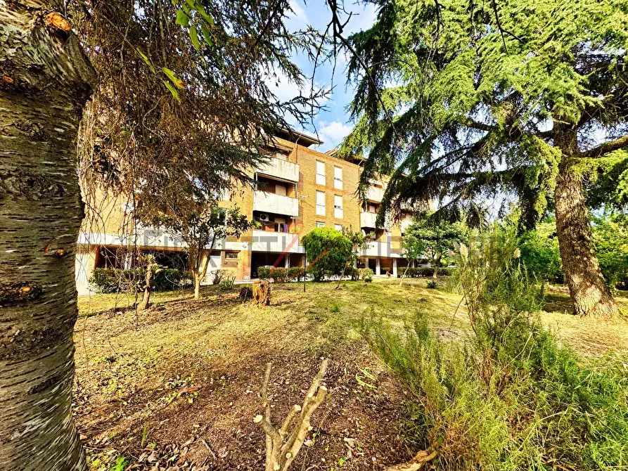 Immagine 22 di Appartamento in vendita  a Roccastrada