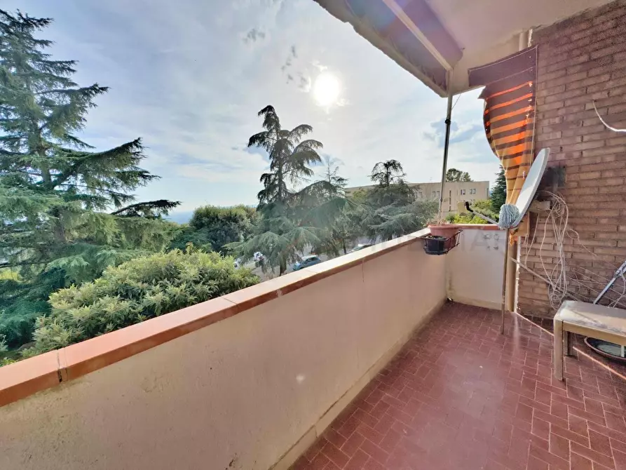 Immagine 9 di Appartamento in vendita  a Roccastrada