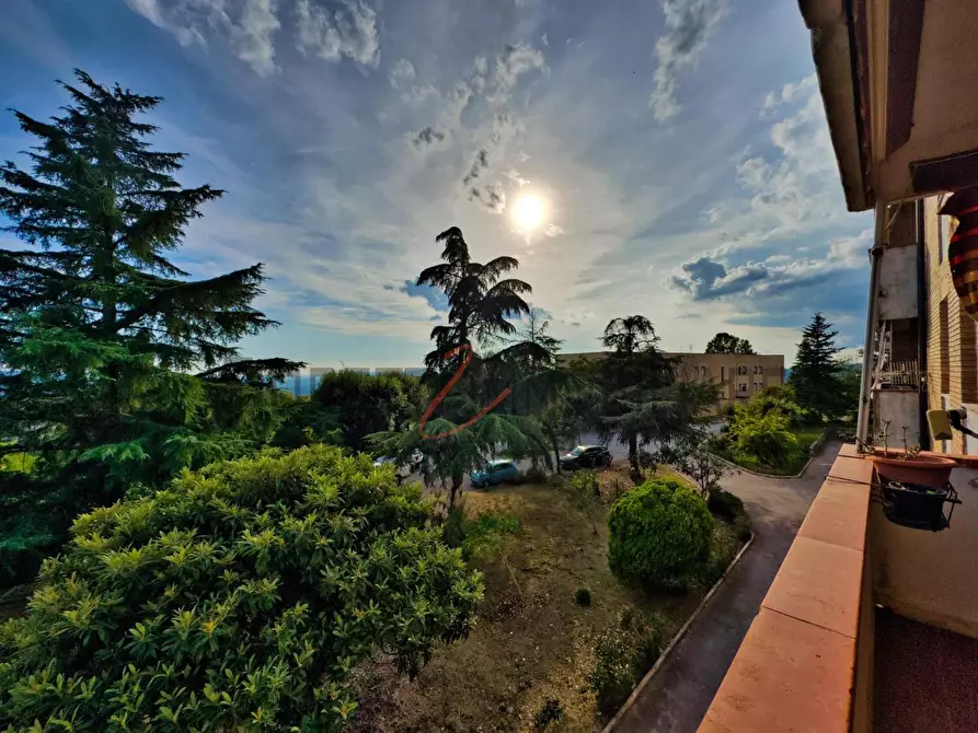 Immagine 10 di Appartamento in vendita  a Roccastrada