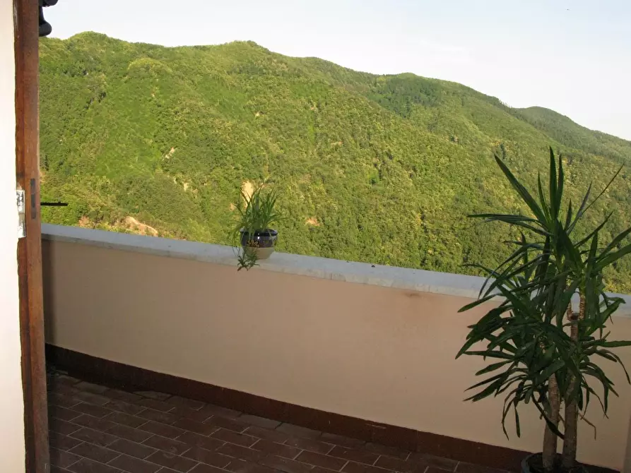 Immagine 9 di Appartamento in affitto  a Fosdinovo