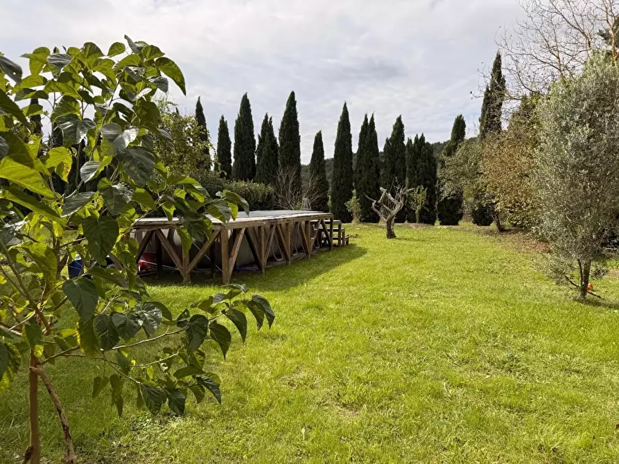 Immagine 5 di Loft/Open space in vendita  a Crespina Lorenzana