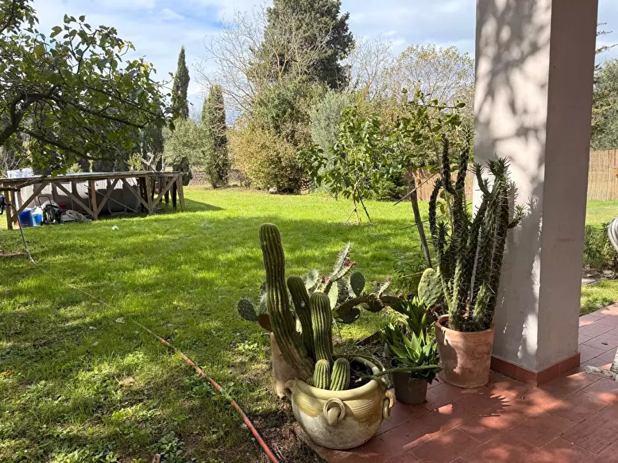 Immagine 4 di Loft/Open space in vendita  a Crespina Lorenzana