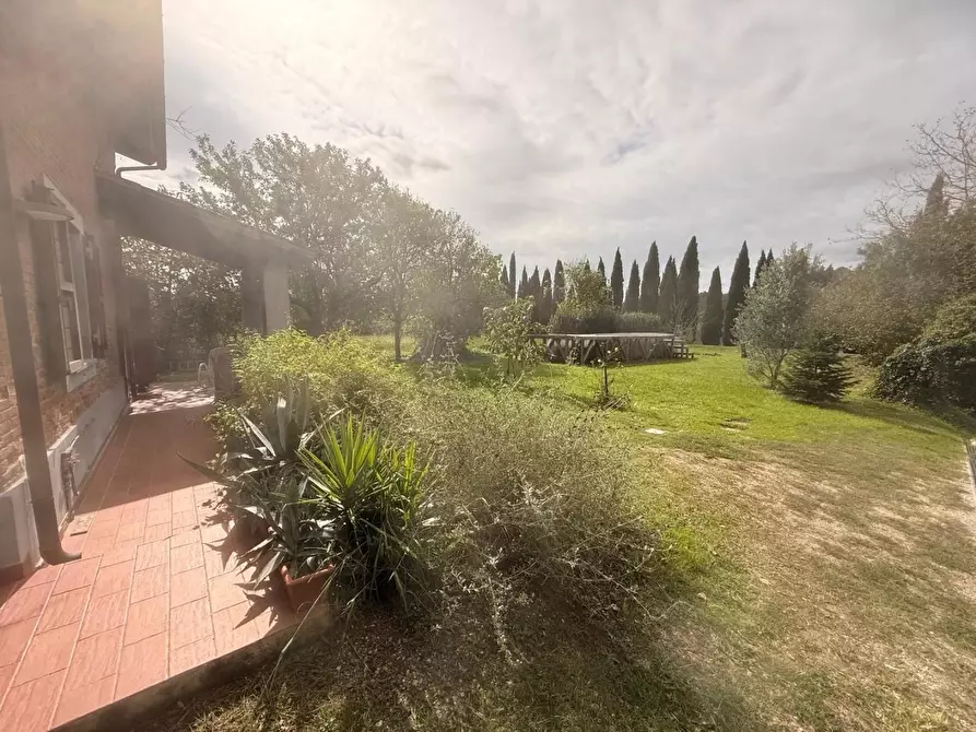 Immagine 40 di Loft/Open space in vendita  a Crespina Lorenzana