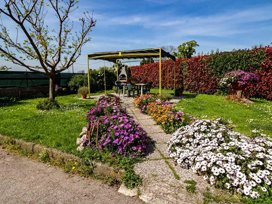 Immagine 20 di Appartamento in vendita  a San Giuliano Terme