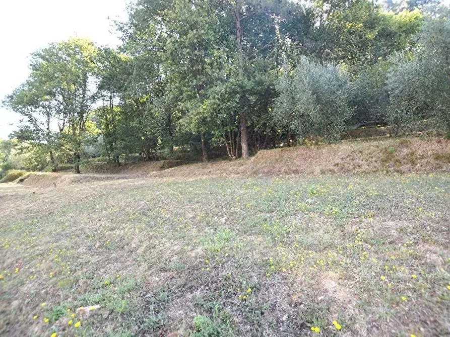 Immagine 23 di Porzione di casa in vendita  a Lucca